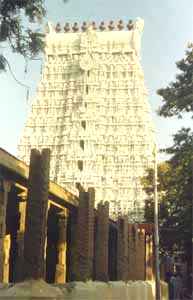 [West Gopuram, Tiruchendur (9 kb)]